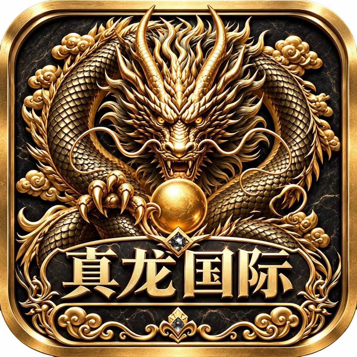 真龙国际